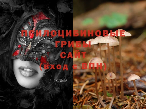 СК Корсаков