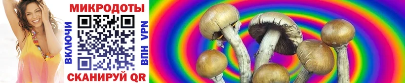 Купить  Серпухов  Псилоцибиновые грибы GOLDEN TEACHER 